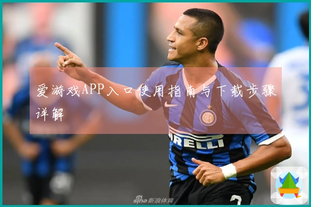 爱游戏APP入口使用指南与下载步骤详解