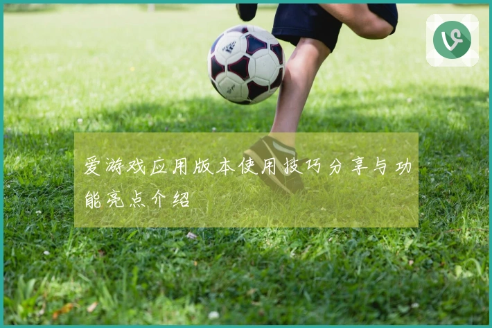 爱游戏应用版本使用技巧分享与功能亮点介绍